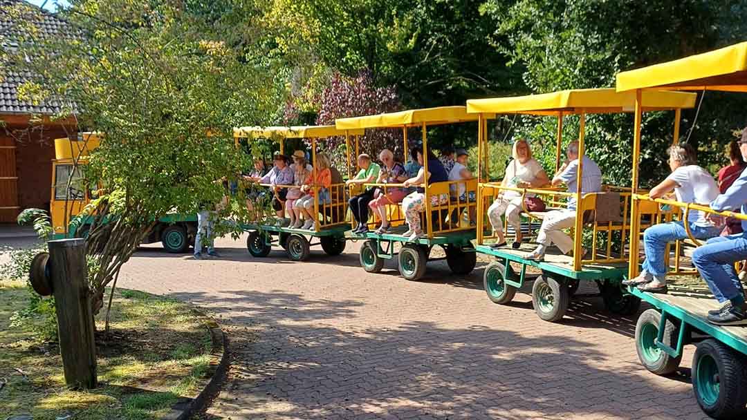 Fahrt mit der Bahn auf dem Gelände der Heidelbeerplantage in Neustadt am Rübenberge.